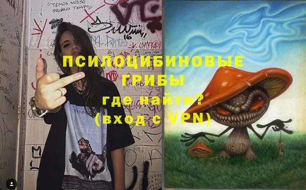 эйфоретик Верея